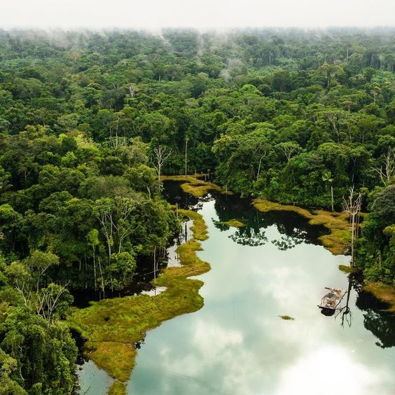 AMAZONAS