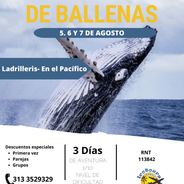 Avistamiento de Ballenas