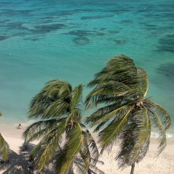 SAN ANDRÉS